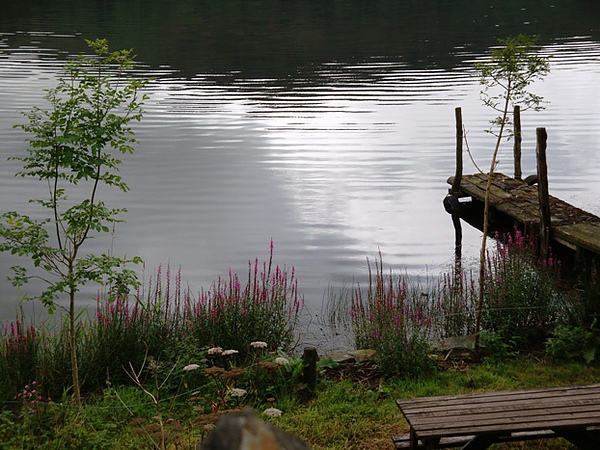 20100819 0012.JPG 20100819 0012.JPG