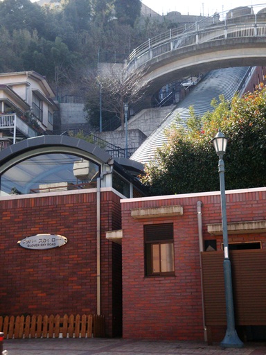20110204 005.jpg 20110204 005.jpg