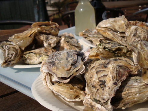 20110203 005.jpg 20110203 005.jpg
