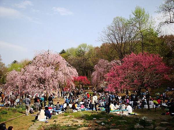 20110410 003.jpg 20110410 003.jpg