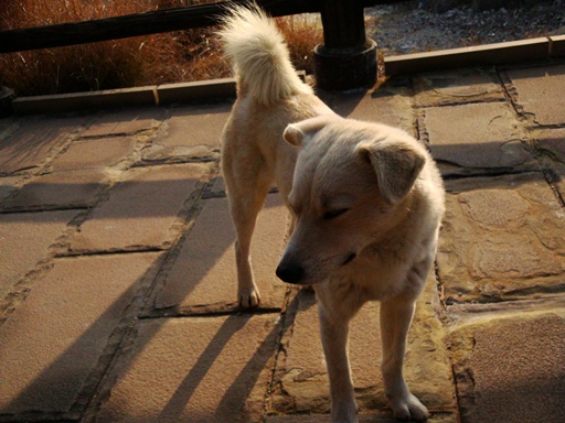 20110205106.jpg 20110205106.jpg