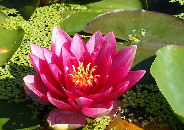 20100816 008.JPG 20100816 008.JPG