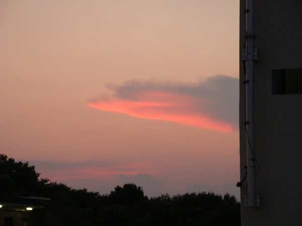 20100724 01.JPG 20100724 01.JPG