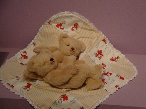 20110203 004.jpg 20110203 004.jpg