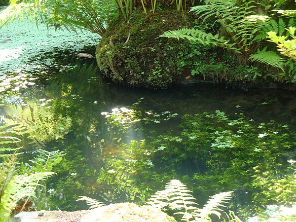 20100816 007.JPG 20100816 007.JPG