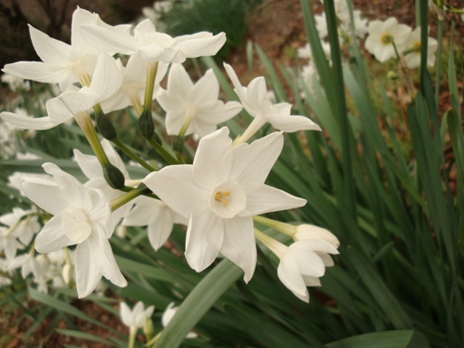 20110115 011.JPG 20110115 011.JPG