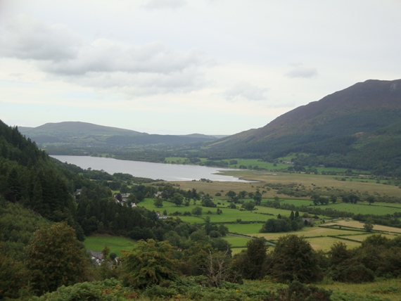 20100819 0050.JPG 20100819 0050.JPG