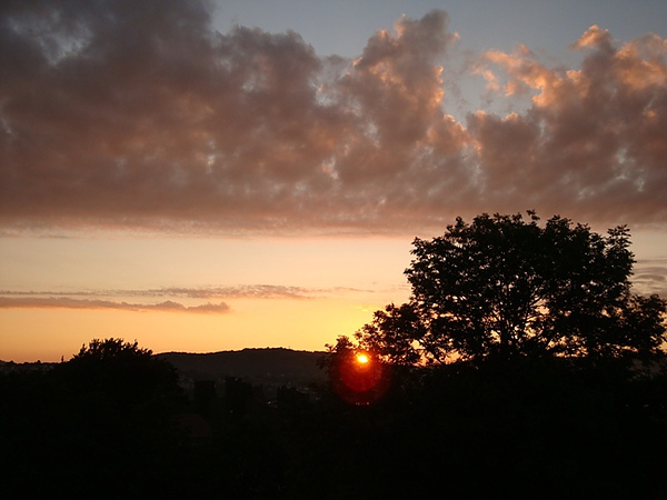 20100816 001.JPG 20100816 001.JPG