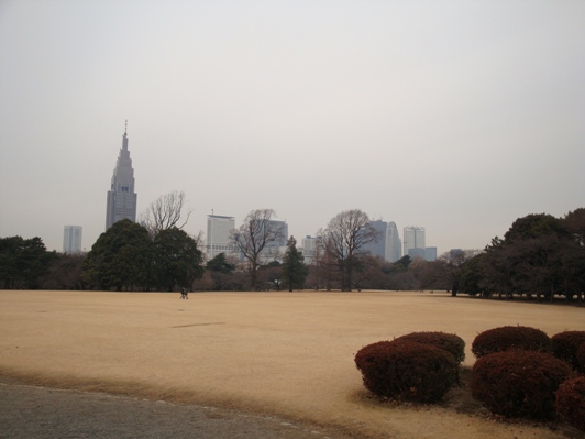 20110115 000.JPG 20110115 000.JPG