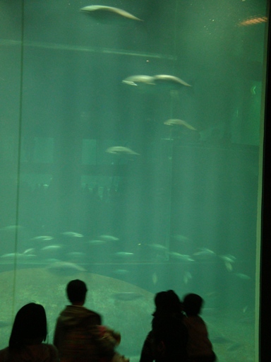 20110109 001.JPG 20110109 001.JPG