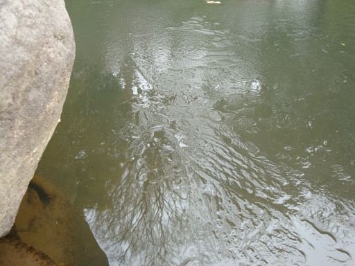20110115 002.JPG 20110115 002.JPG