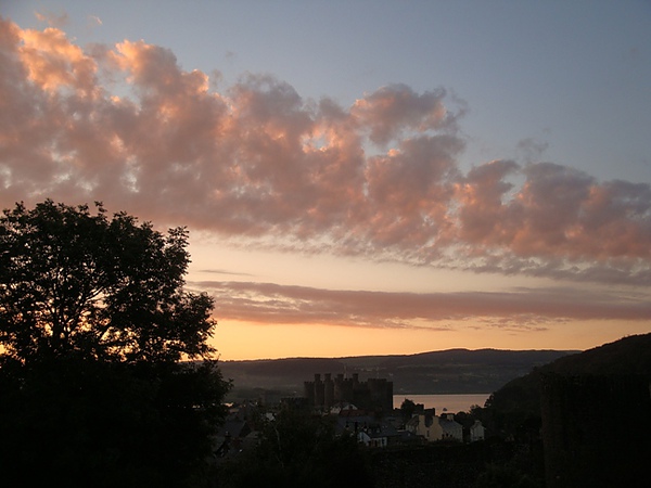 20100816 000.JPG 20100816 000.JPG