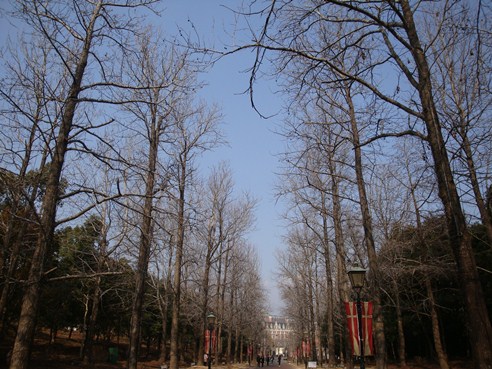 20110203 009.jpg 20110203 009.jpg