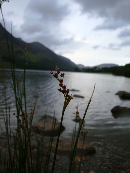 20100819 0072.JPG 20100819 0072.JPG