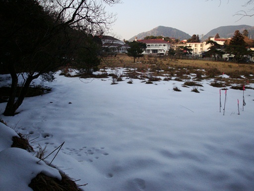 20110205107.jpg 20110205107.jpg