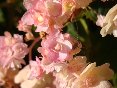 20100816 006.JPG 20100816 006.JPG