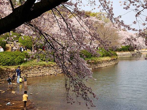 20110410 005.jpg 20110410 005.jpg
