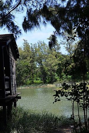 10 (534x800).jpg 10 (534x800).jpg