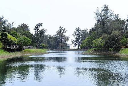 11 (800x534).jpg 11 (800x534).jpg