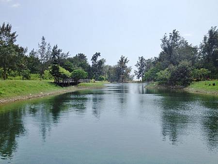 11-1 (800x600).jpg 11-1 (800x600).jpg