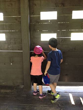 15 (600x800).jpg 15 (600x800).jpg