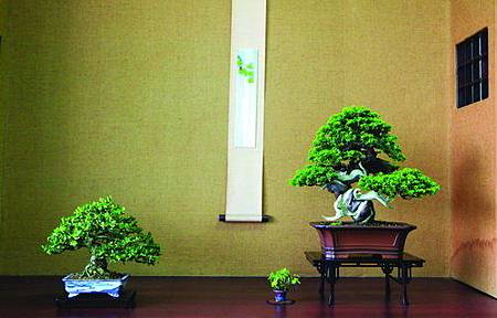 43f80df8a865f6712daa25f93ccb3ada 43f80df8a865f6712daa25f93ccb3ada