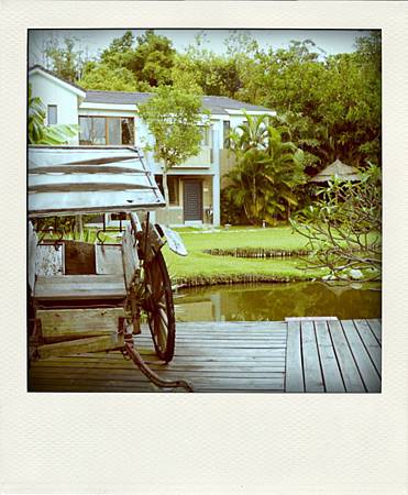 P1150587-pola P1150587-pola