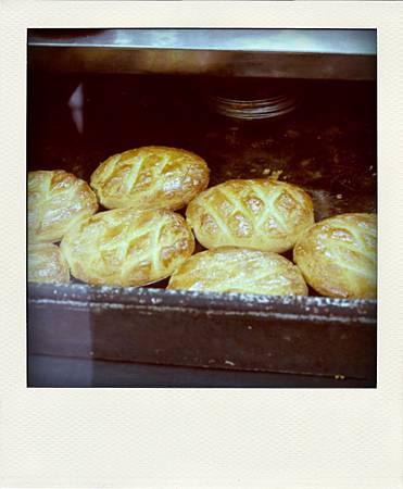 P1170251-pola P1170251-pola