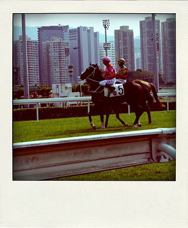 P1170832-pola P1170832-pola