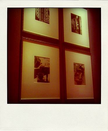 IMAG1094-pola