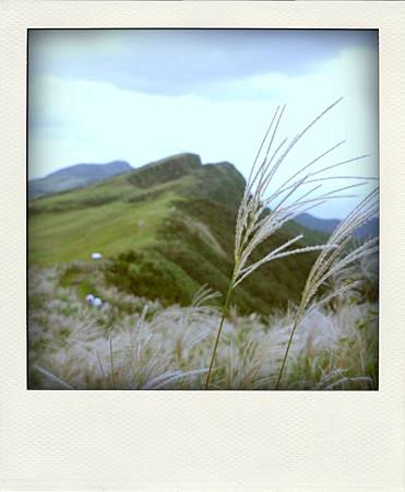 P1230672-pola P1230672-pola