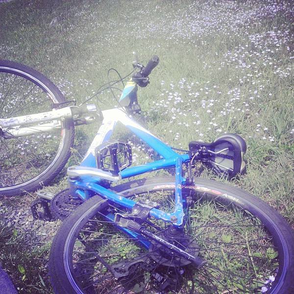 IMG_20140323_141617 IMG_20140323_141617