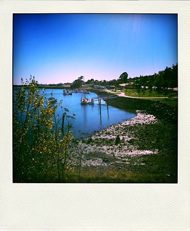 S__4464764-pola S__4464764-pola