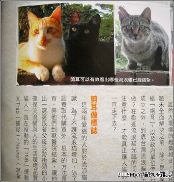 CATNEWS-桔-小黑