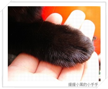050608-heyhand.JPG