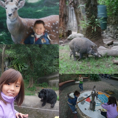 動物園1.jpg