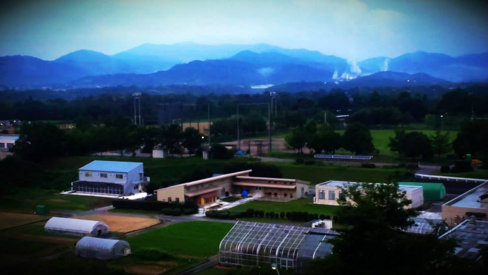 10364208_10202175988433323_316006388940804364_n