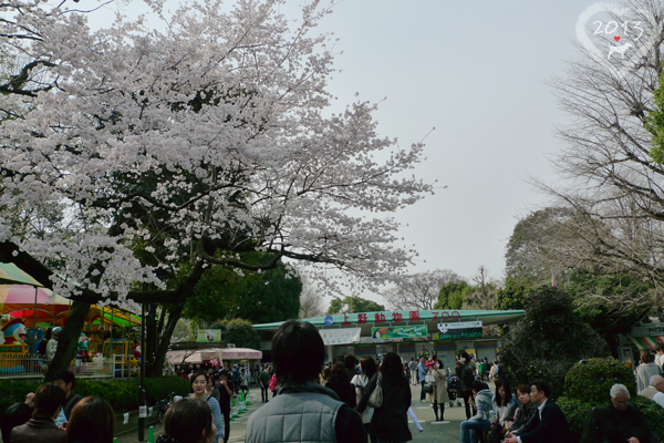 20130320-上野動物園-20 20130320-上野動物園-20