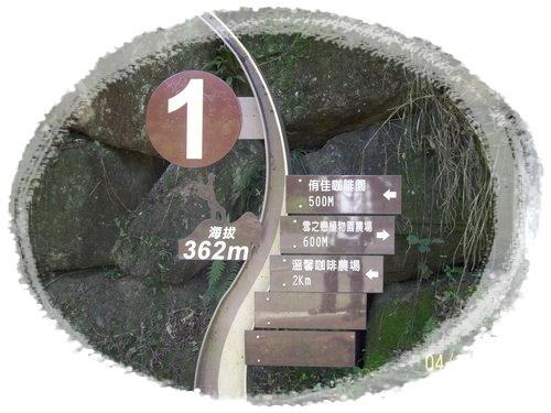 嘉義梅山(16) 嘉義梅山(16)