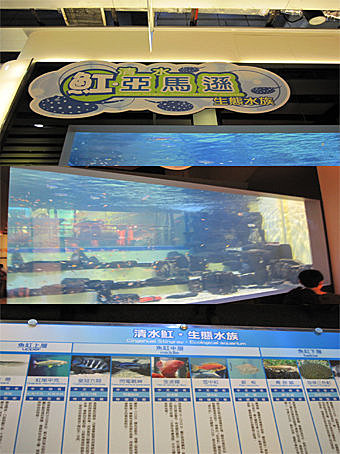 2009 員工旅遊撒野趣 24 2009 員工旅遊撒野趣 24