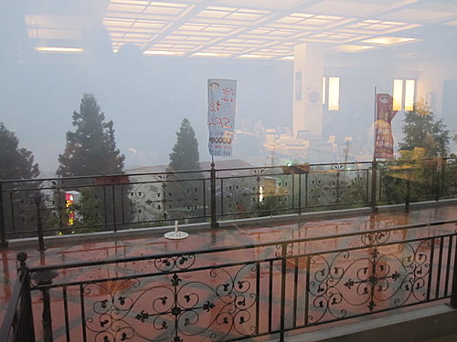 2009 員工旅遊撒野趣 49 2009 員工旅遊撒野趣 49