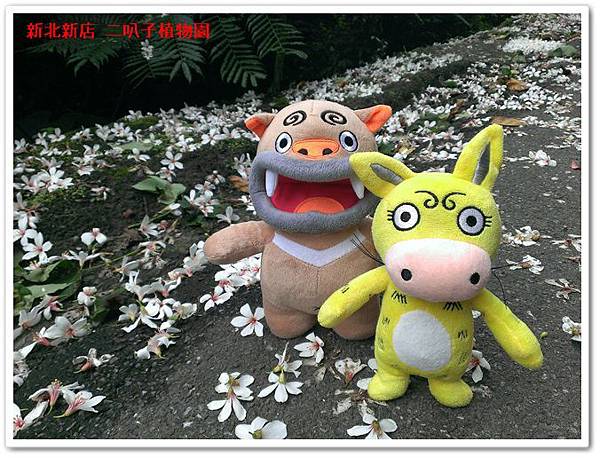 新北新店 二叭子植物園 03 新北新店 二叭子植物園 03