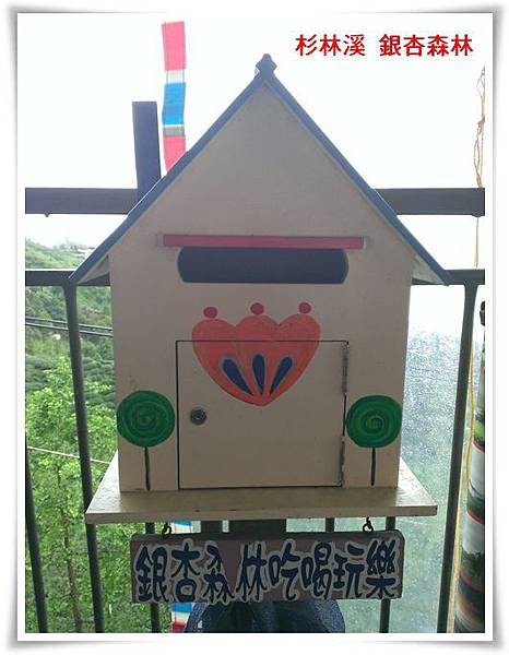 杉林溪銀杏森林 01 杉林溪銀杏森林 01