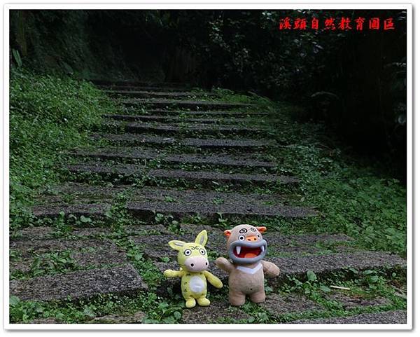 溪頭自然教育園區 01 溪頭自然教育園區 01