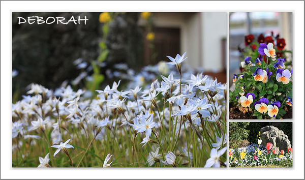 _ copy.jpg _ copy.jpg