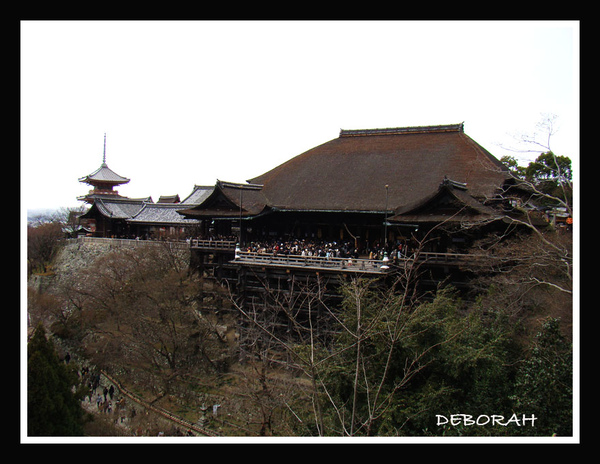 DSC03145.jpg DSC03145.jpg