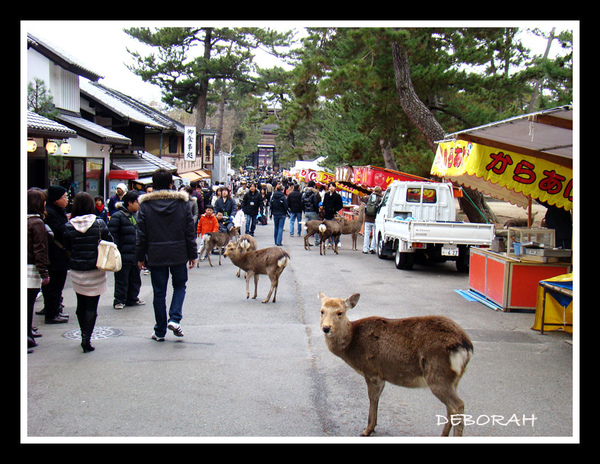 DSC02983.jpg DSC02983.jpg