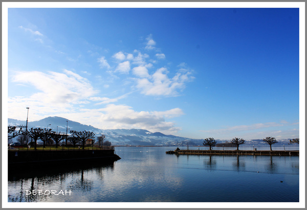 IMG_3325 copy.jpg IMG_3325 copy.jpg