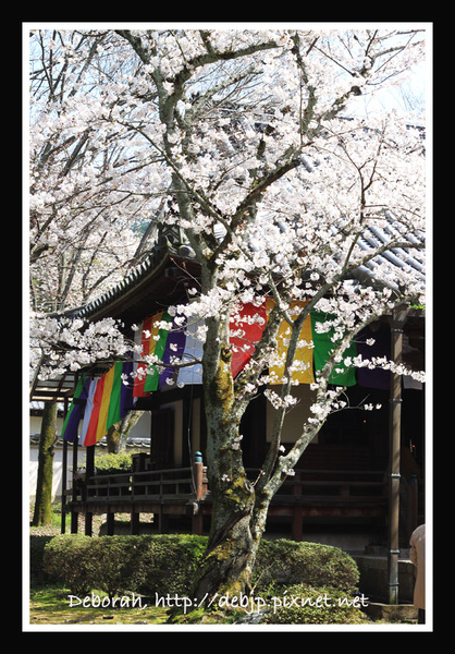 IMG_4913.jpg IMG_4913.jpg