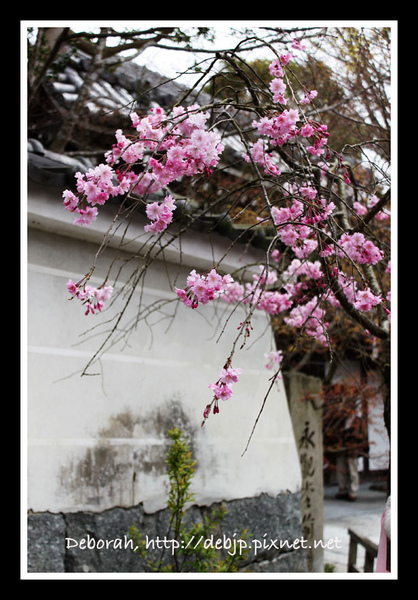 IMG_5109.jpg IMG_5109.jpg